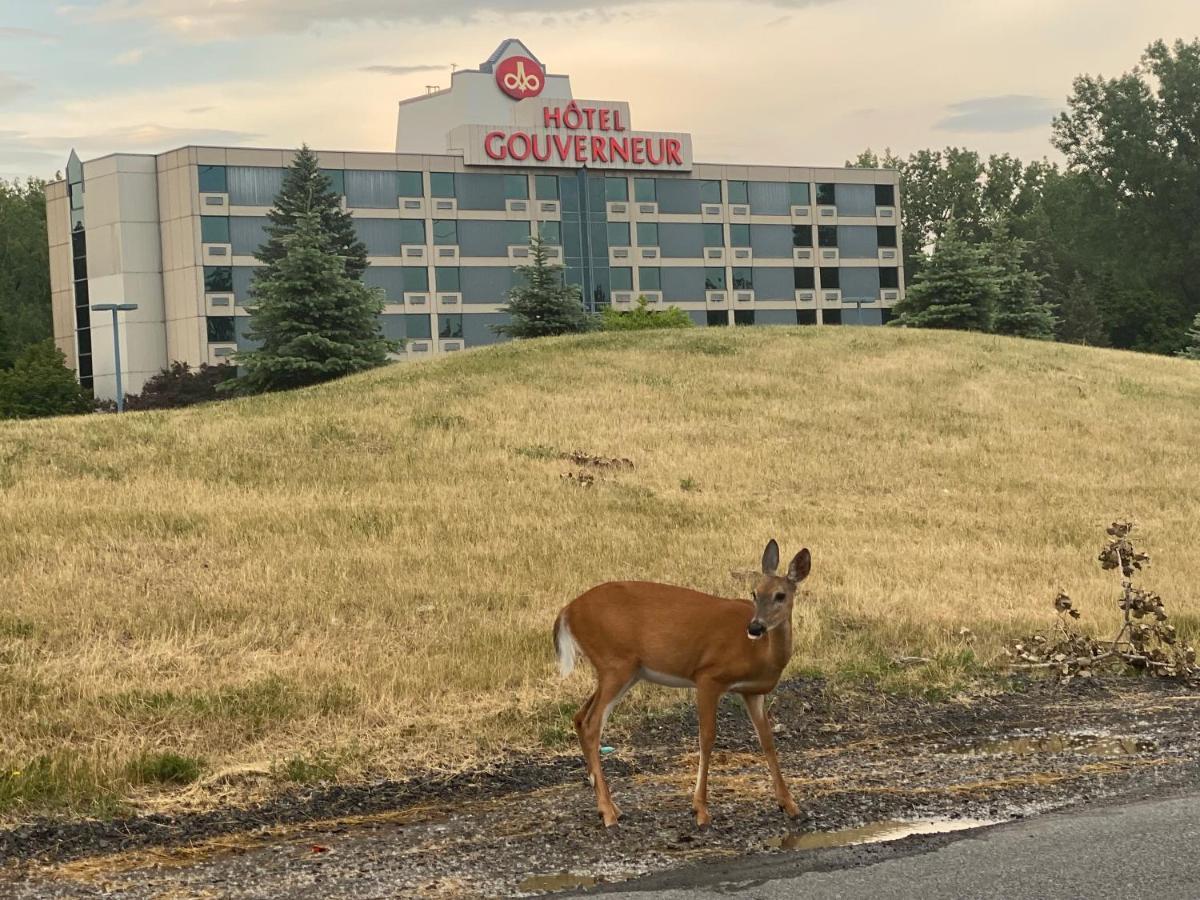 Hôtels Gouverneur Montréal - Île Charron Boucherville Exterior foto